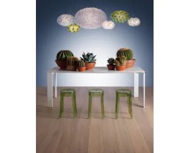Lampada Bloom di Kartell